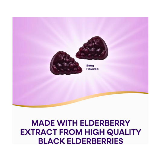 Nature's Way Sambucus Elderberry Gummies for Immune Support - Kodomo store
