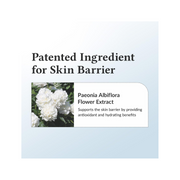 Dr. Althea 147 Barrier Cream – 50 ml - Kodomo store