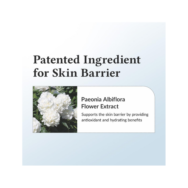 Dr. Althea 147 Barrier Cream – 50 ml - Kodomo store