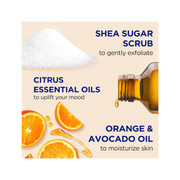 Dr Teal's Shea Sugar Citrus + Vitamin C Body Scrub - Kodomo store
