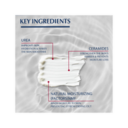 Eucerin Intensive 10% Urea Treatment Lotion – Dermatologically Proven - Kodomo store