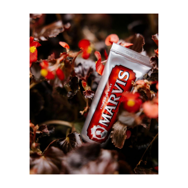 Marvis Cinnamon Mint Toothpaste - 25 ml - Kodomo store