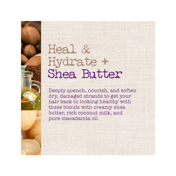 Maui Moisture Shea Butter Shampoo – Revive & Hydrate 13 oz - Kodomo store