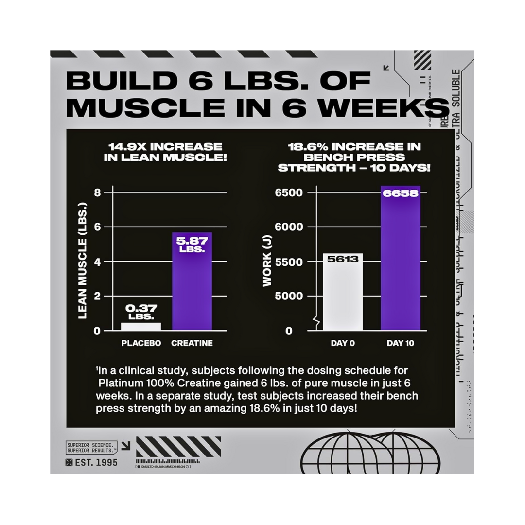 MuscleTech Platinum 100% Creatine – Pure Micronized Powder - Kodomo store