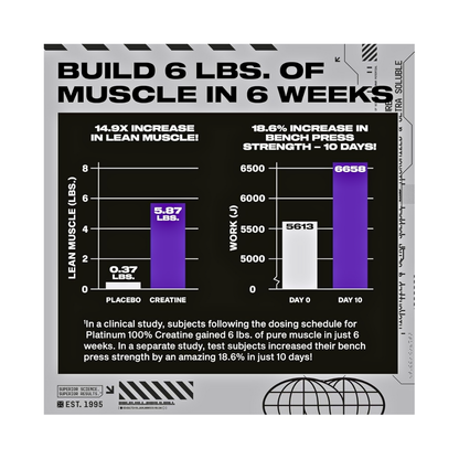 MuscleTech Platinum 100% Creatine – Pure Micronized Powder - Kodomo store