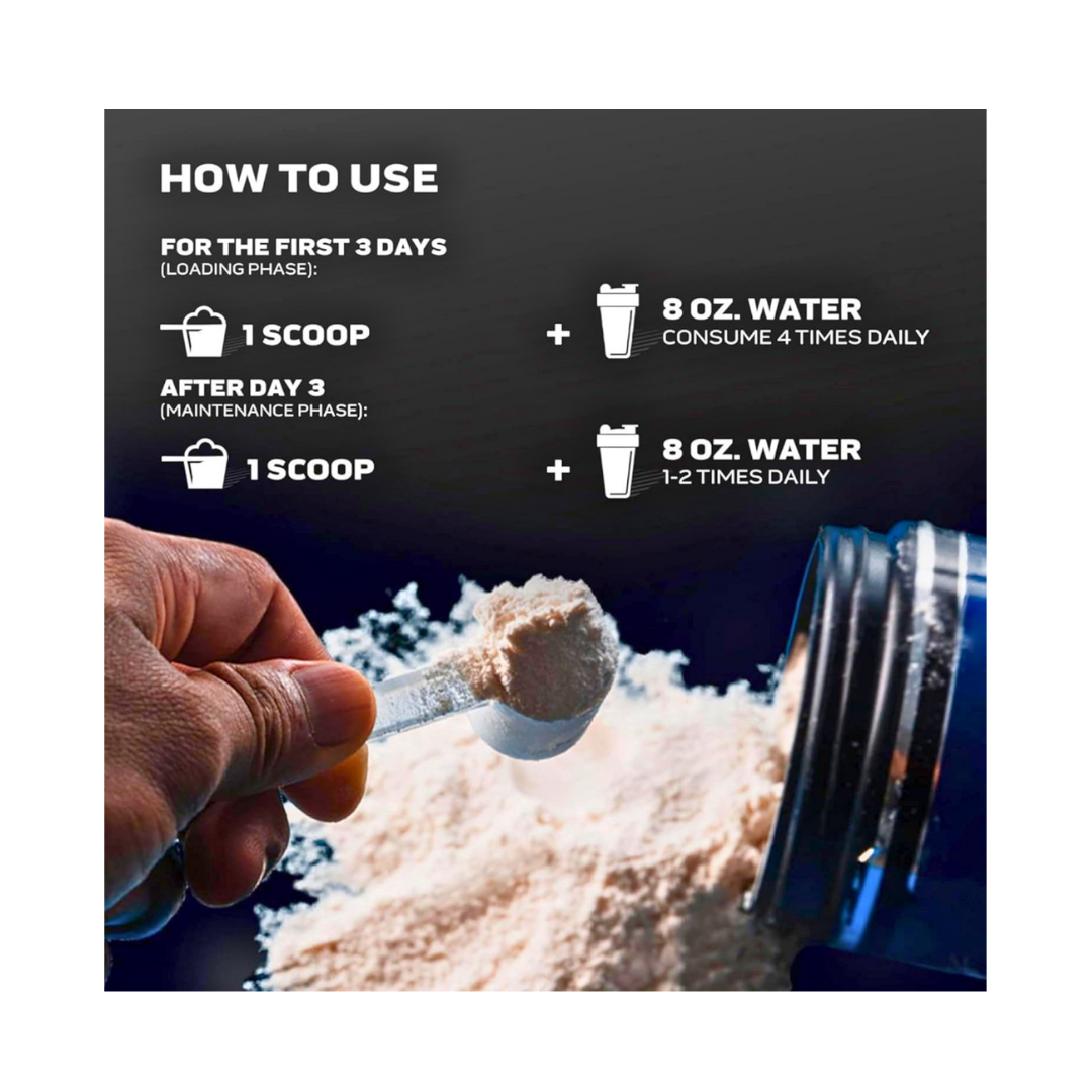 MuscleTech Platinum 100% Creatine – Pure Micronized Powder - Kodomo store