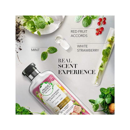 Natural Volumizing Shampoo with White Strawberry & Mint – 400ml - Kodomo store