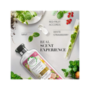 Natural Volumizing Shampoo with White Strawberry & Mint – 400ml - Kodomo store