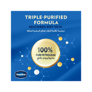 Vaseline Moisturizing Petroleum Jelly 450ml